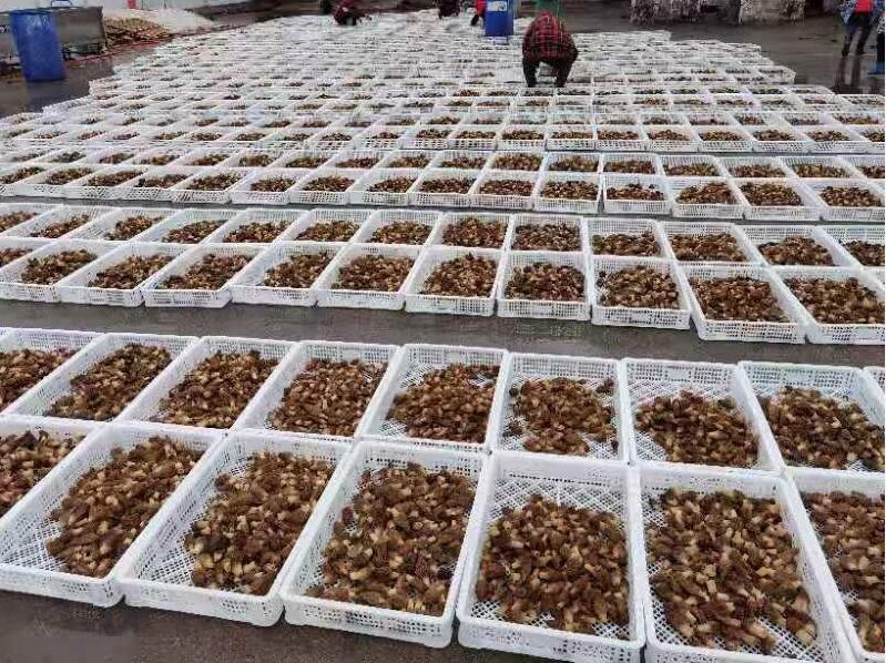 &#20061;&#28216;&#23089;&#20048;