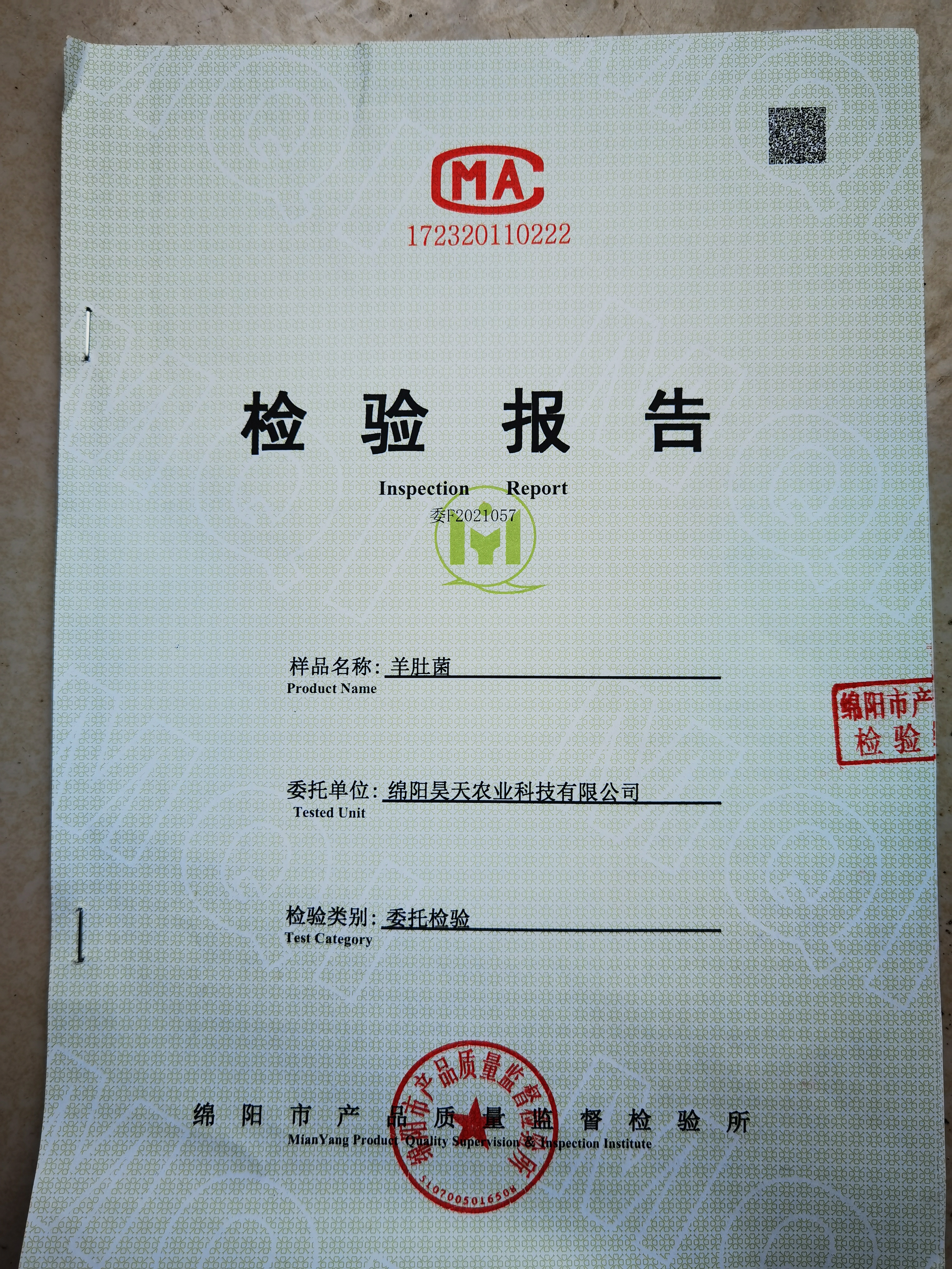 &#20061;&#28216;&#23089;&#20048;
