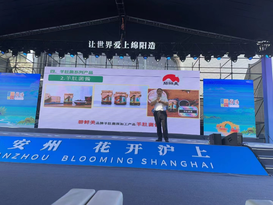 &#20061;&#28216;&#23089;&#20048;